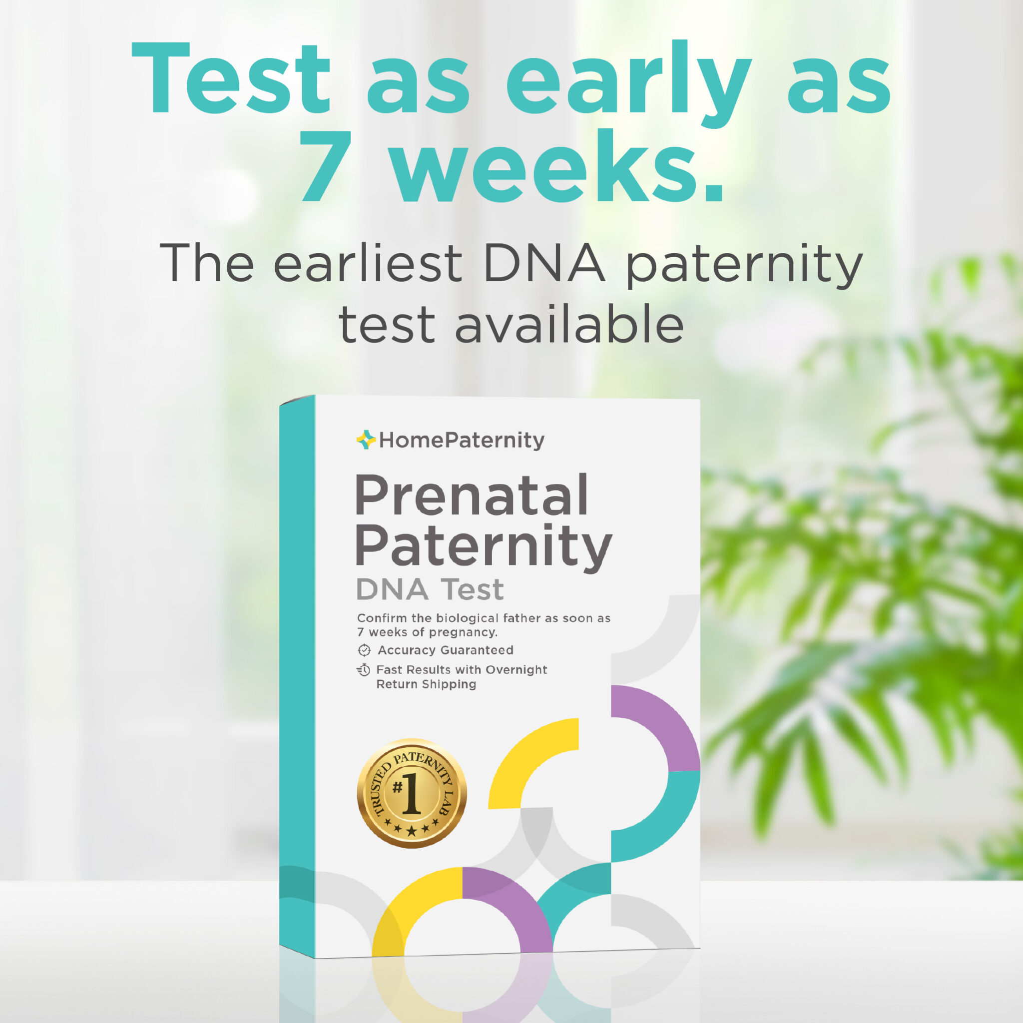 Non-Invasive Prenatal Paternity Test - Home Paternity
